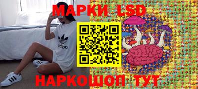 дмт Гай