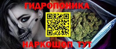 дмт Гай