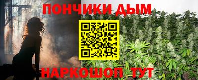 дмт Гай