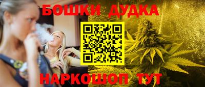 дмт Гай