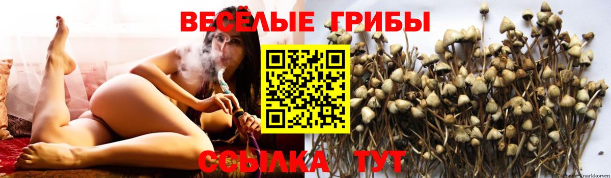 Псилоцибиновые грибы GOLDEN TEACHER Трёхгорный